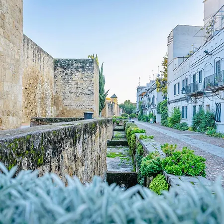 아파트 La Juderia *